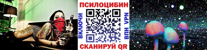 купить   Ува  Псилоцибиновые грибы мицелий 
